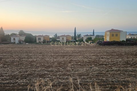 Land in Argaka, Paphos, Cyprus No. 53560