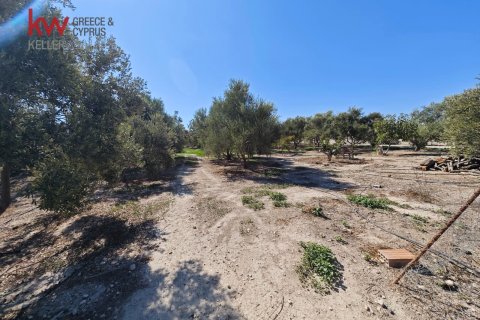 2973m2 Terrain à Larnaka, Chypre No. 56858