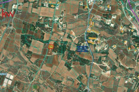 2317m2 Terrain à Paralimni, Ammochostos, Chypre No. 56756