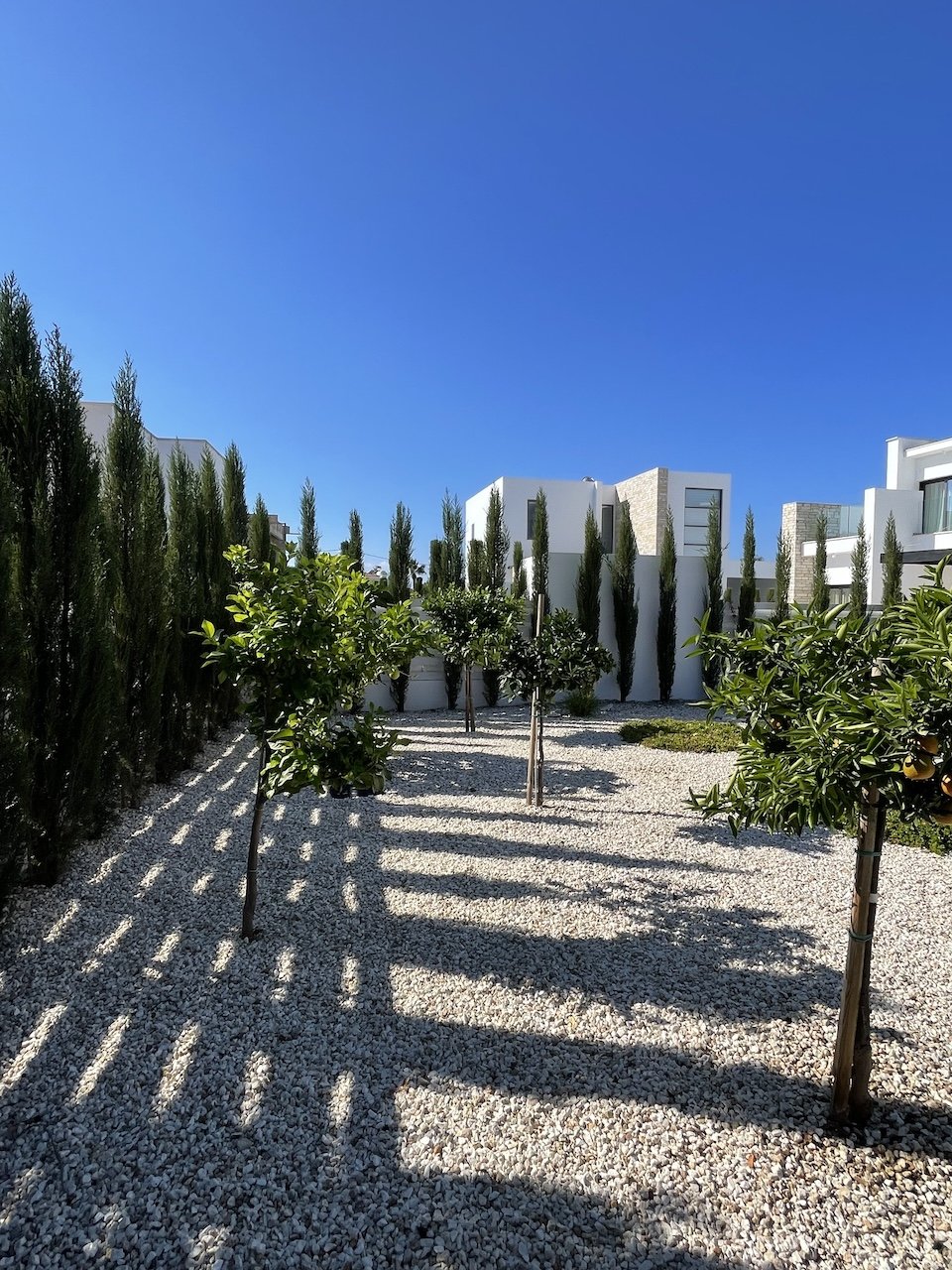 4 chambres Villa à Paphos, Chypre No. 35666