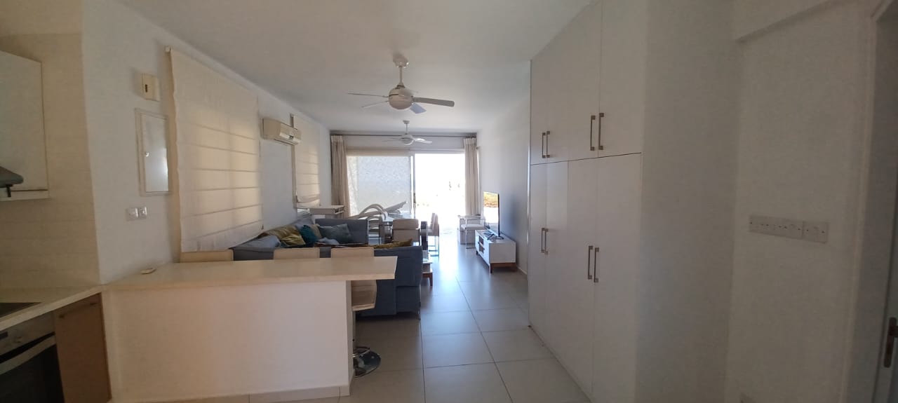 3 bedrooms Bungalow in Chloraka, Paphos, Cyprus No. 57454
