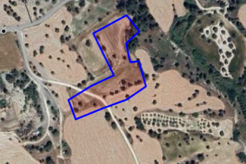10703m2 Land in Anglisides, Larnaka, Cyprus No. 40571