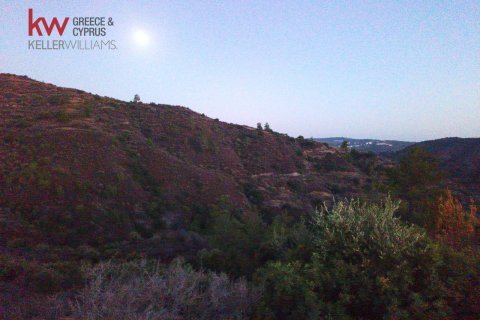 31773m2 Terrain à Pano Lefkara, Larnaka, Chypre No. 56773
