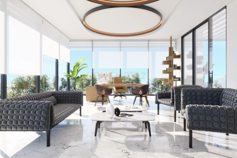 303.5m2 Oficina en Limassol, Chipre No. 56256