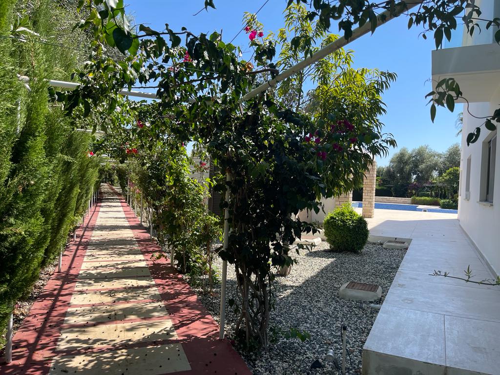 3 dormitorios Villa en Sea Caves, Pegeia, Paphos, Chipre No. 57358