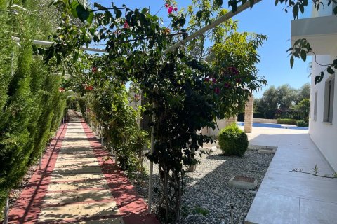 3 dormitorios Villa en Sea Caves, Pegeia, Paphos,  No. 57358 16