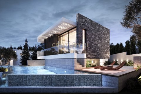 4 bedrooms Villa in Pegeia, Paphos, Cyprus No. 55694