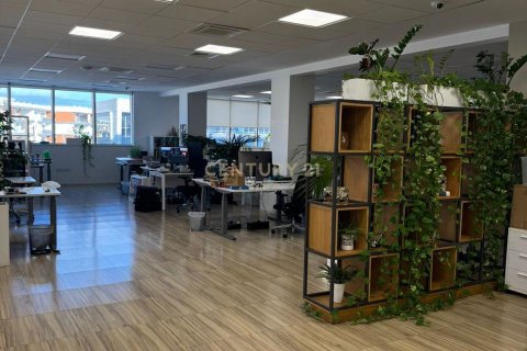 950m2 Office in Agios Athanasios, Limassol, Cyprus No. 55600