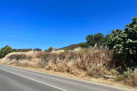 Terreno en Pomos, Paphos, Chipre No. 56297