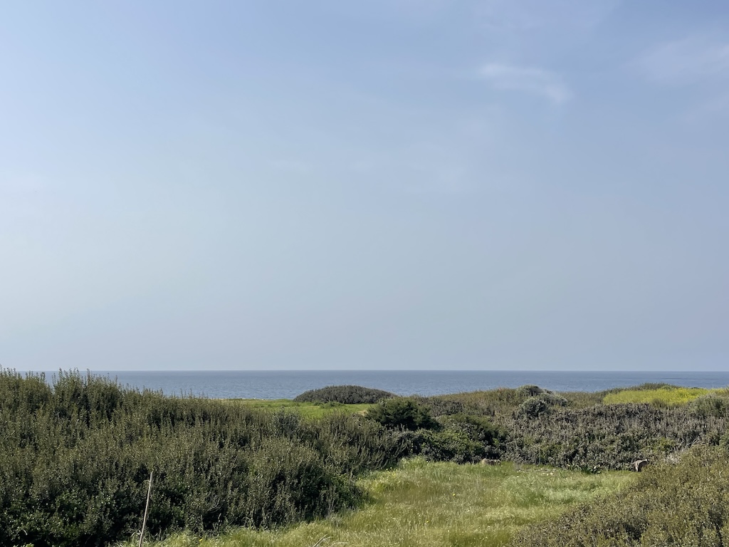Land in Coral Bay, Pegeia, Paphos, Cyprus No. 57444