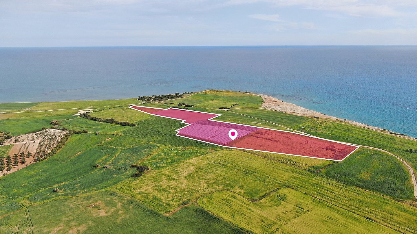Land in Mazotos, Larnaka, Cyprus No. 57491