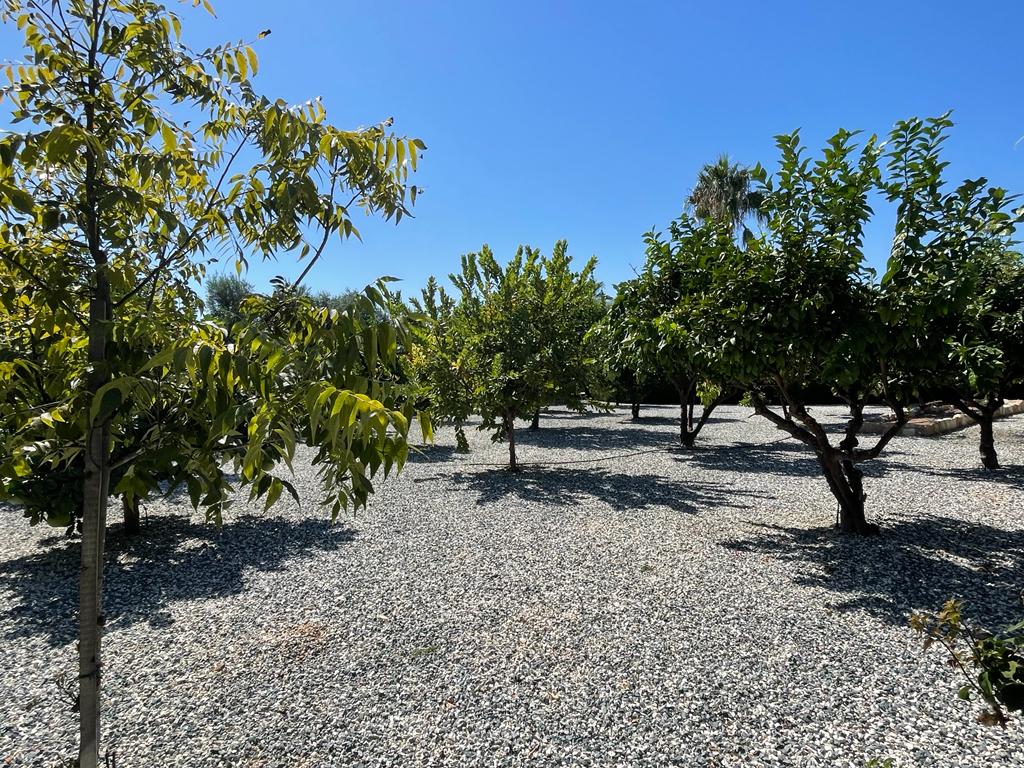 3 dormitorios Villa en Sea Caves, Pegeia, Paphos, Chipre No. 57358