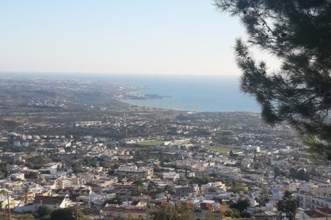 Land in Pegeia, Paphos, Cyprus No. 54276