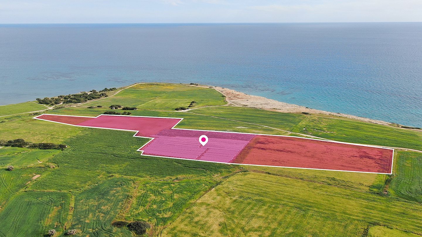 Land in Mazotos, Larnaka, Cyprus No. 57491