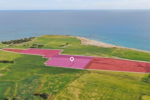 Land in Mazotos, Larnaka, Cyprus No. 57491