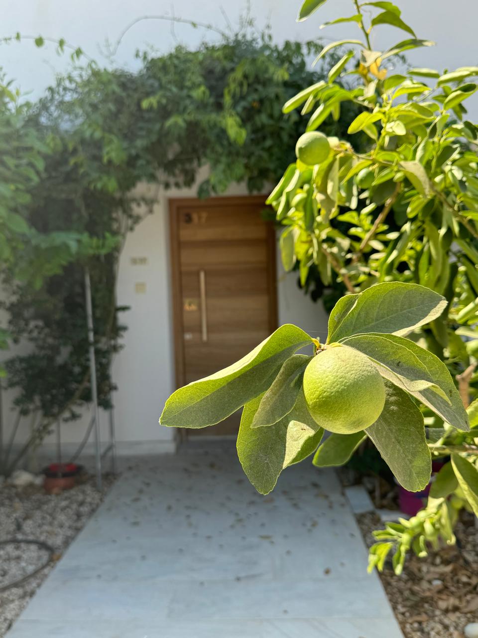 2 dormitorios Adosado en Paphos, Chipre No. 57478