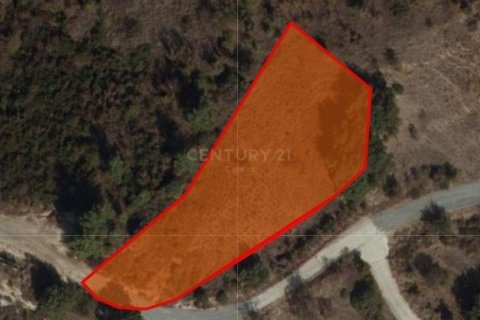 Land in Pera Pedi, Limassol, Cyprus No. 54080