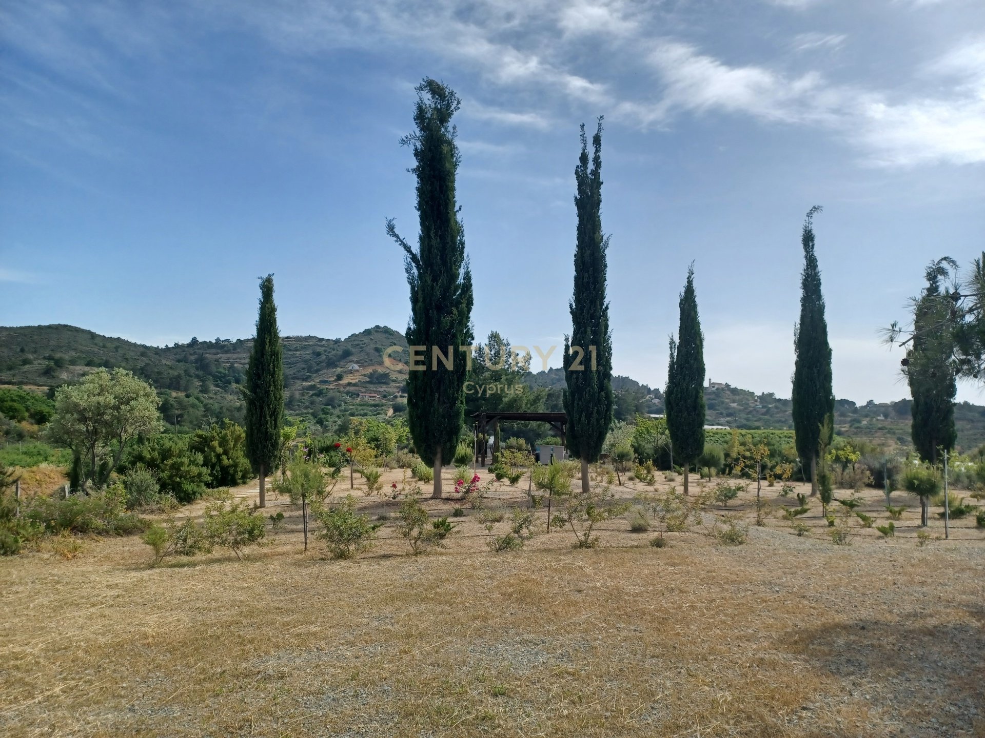 Land in Kellaki, Limassol, Cyprus No. 53624