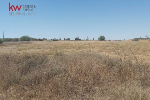 8237m2 Terrain à Avgorou, Ammochostos, Chypre No. 56866