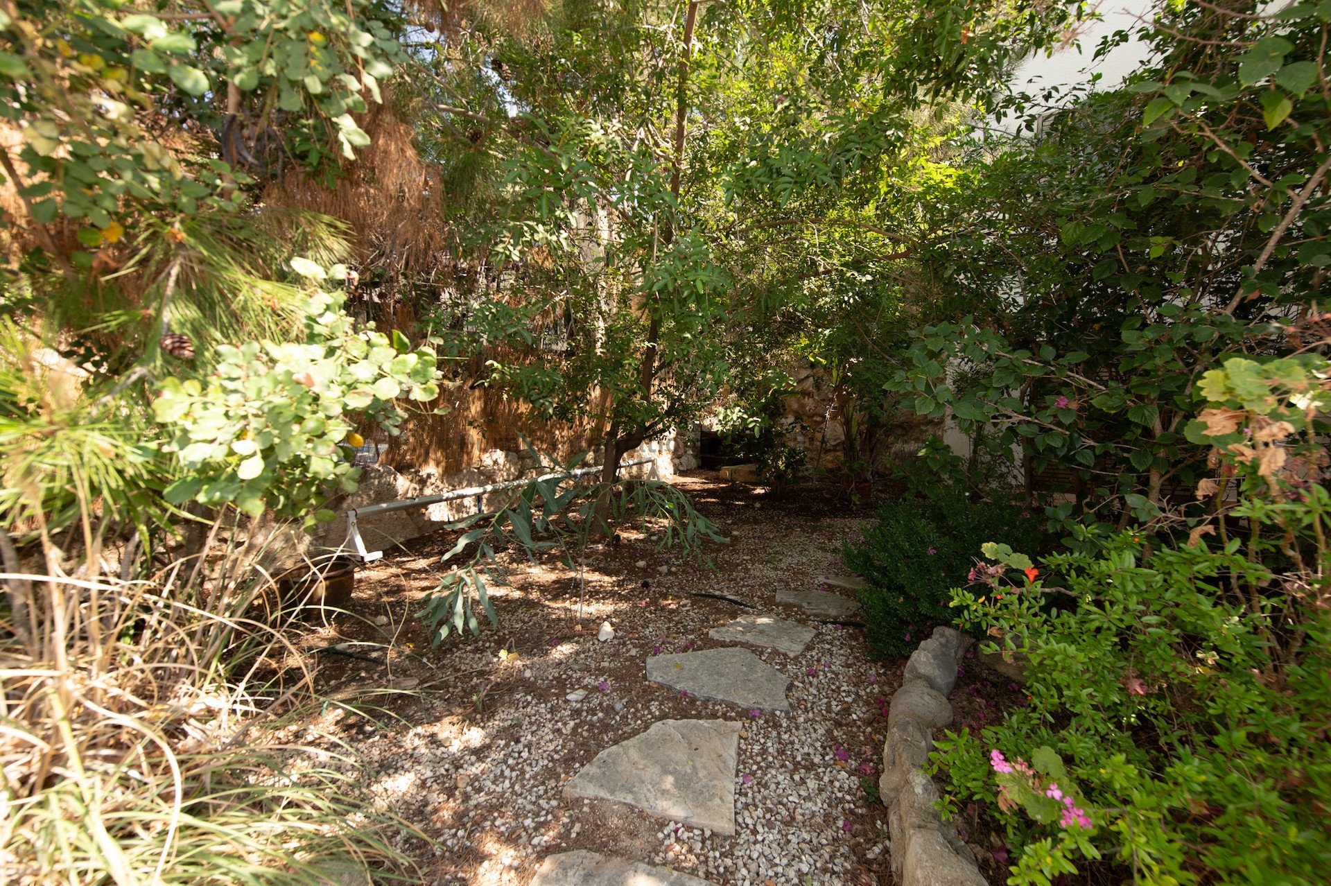 5 bedrooms Villa in Tala, Paphos, Cyprus No. 56601