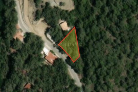 Land in Pano Platres, Limassol, Cyprus No. 55851