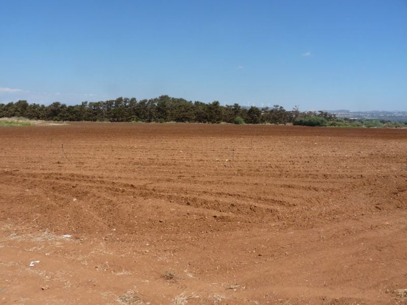 Terreno en Mandria, Paphos, Chipre No. 57468