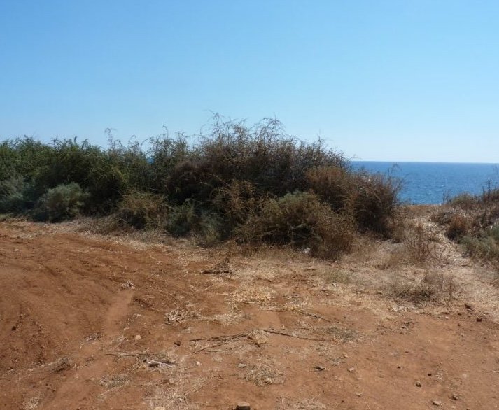 Terreno en Mandria, Paphos, Chipre No. 57468