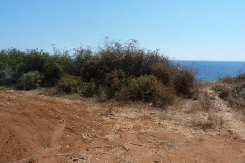 Terreno en Mandria, Paphos, Chipre No. 57468