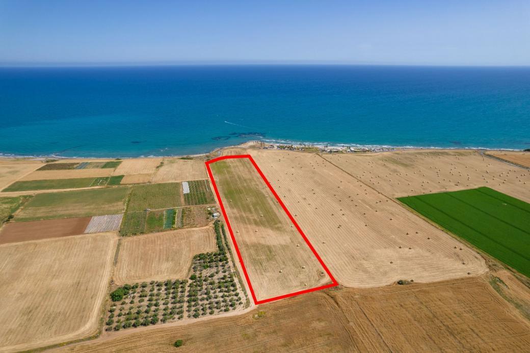 Land in Mazotos, Larnaka, Cyprus No. 57492
