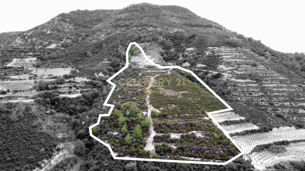 Land in Agios Mamas, Limassol, Cyprus No. 53399