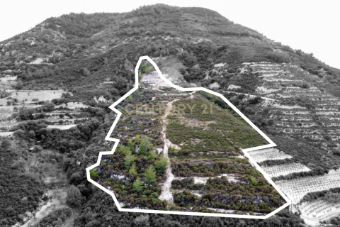 Land in Agios Mamas, Limassol, Cyprus No. 53399