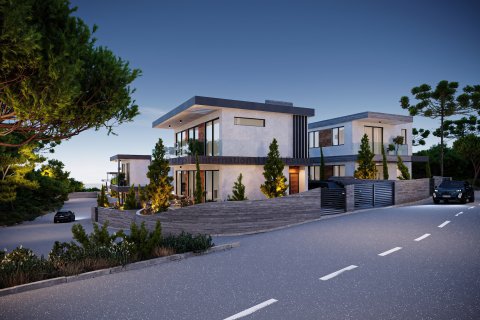 Вилла с 3 спальнями в Кония, Пафос, № 37747 21