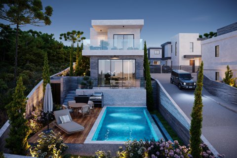 Вилла с 3 спальнями в Кония, Пафос, № 37747 19