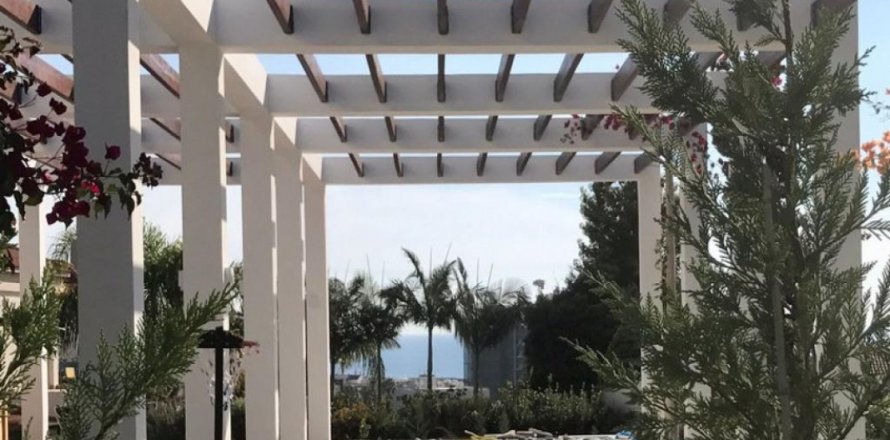 Studio Villa à Limassol,  No. 38063