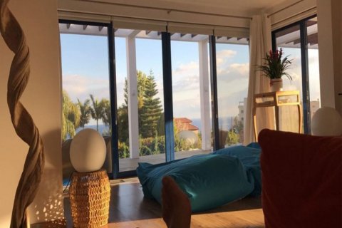 Studio Villa à Limassol,  No. 38063 4