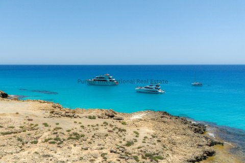 4 bedrooms Villa in Ayia Napa, Ammochostos,  No. 36695 3