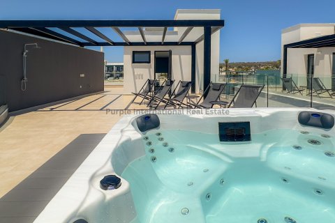 4 bedrooms Villa in Ayia Napa, Ammochostos,  No. 36695 29