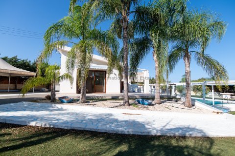 4 bedrooms Villa in Protaras, Ammochostos,  No. 35717 28