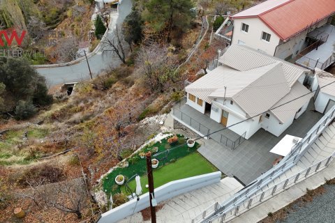 3 chambres Maison de Ville à Prodromos, Nicosia,  No. 39935 30