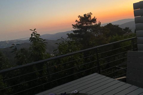 3 bedrooms Townhouse in Prodromos, Nicosia,  No. 39935 8