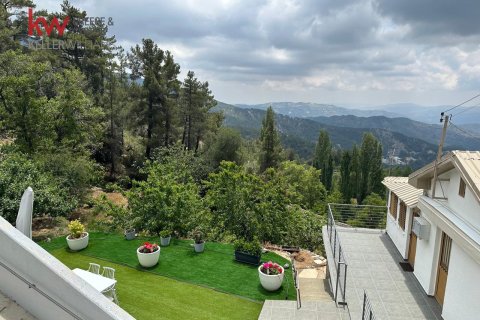 3 bedrooms Townhouse in Prodromos, Nicosia,  No. 39935 20