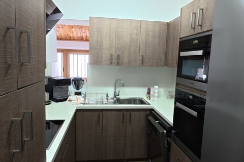 3 chambres Maison de Ville à Prodromos, Nicosia,  No. 39935 26