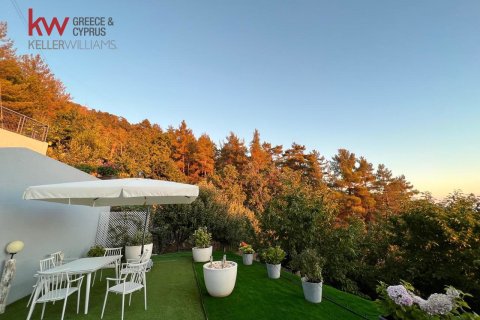 3 bedrooms Townhouse in Prodromos, Nicosia,  No. 39935 3