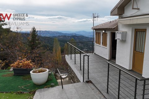 3 chambres Maison de Ville à Prodromos, Nicosia,  No. 39935 29