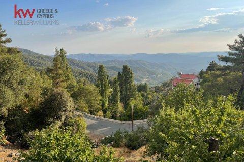 3 bedrooms Townhouse in Prodromos, Nicosia,  No. 39935 9