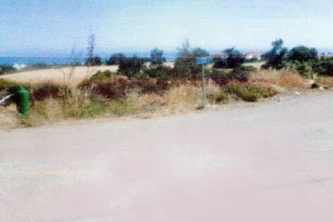 7110m2 Terrain à Neo Chorio, Paphos, Chypre No. 26228