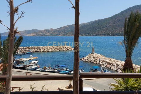 5 dormitorios Villa en Neo Chorio, Paphos,  No. 55515 6