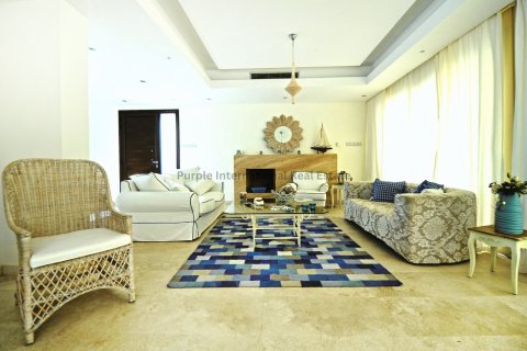 5 chambres Villa à Ayia Napa, Ammochostos,  No. 53020 8