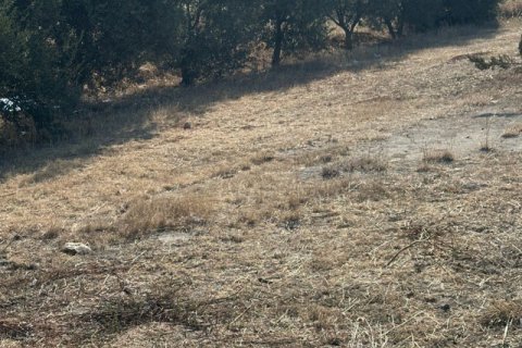 520m2 Land in Agios Nikolaos, Paphos,  No. 40078 19