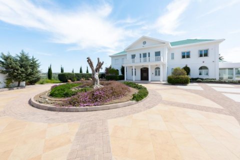 7 bedrooms Villa in Limassol, No. 38705 15